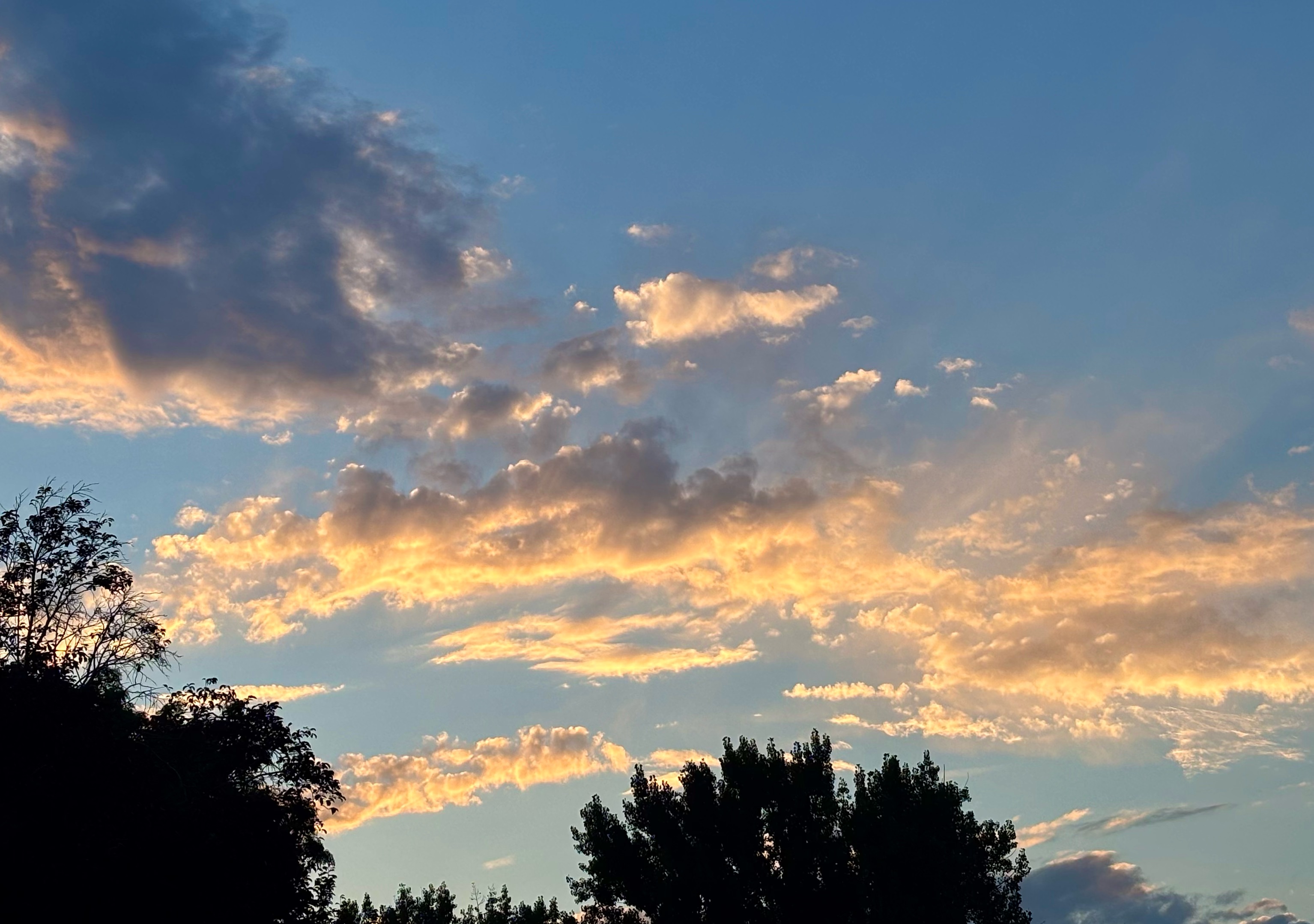Yellow clouds reflecting the light of the setting sun above some silhouetted trees.