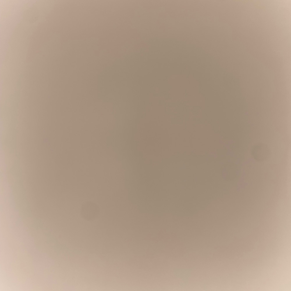 Currently Marinating